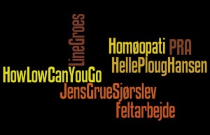 5. september 2012: “Antropologisk Homøopati: How low can you go?”, oplægsholdere: Helle Ploug Hansen, Jens Grue Sjørslev og Line Groes.